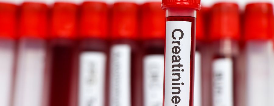 Créatinine élevée : faut-il s'inquiéter ?